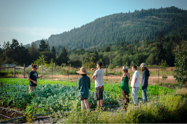 Salt Spring Harvest Community Garden
